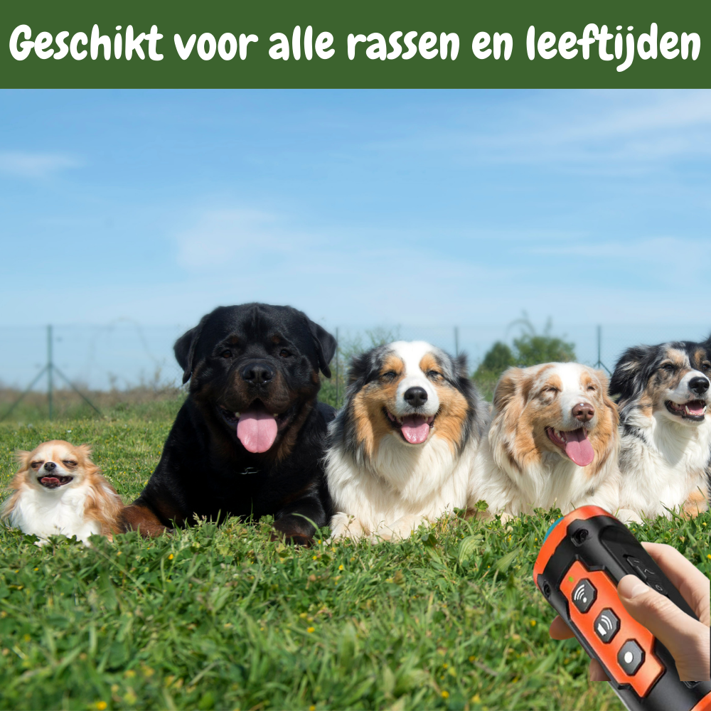 Bark Stopper Max – De Ultieme Hondentrainer
