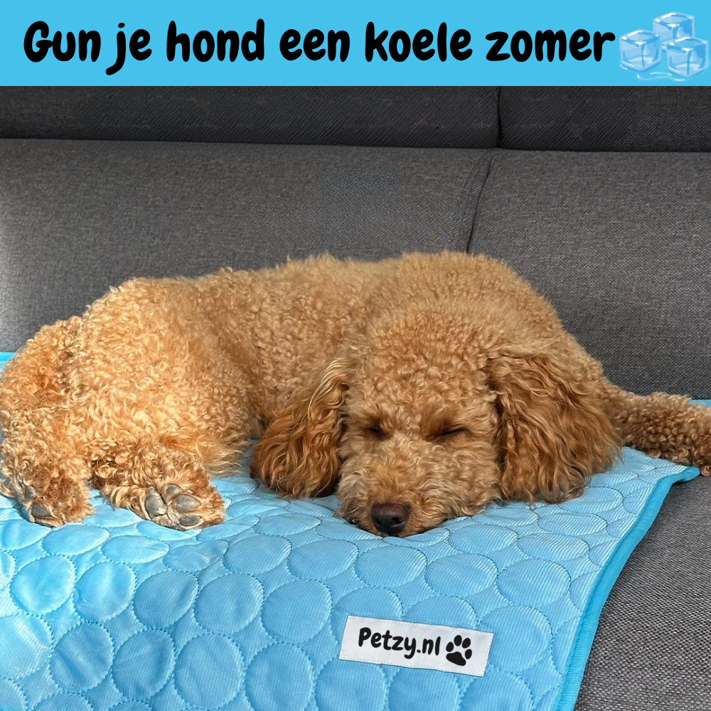CoolCore Verkoelende Hondenmat