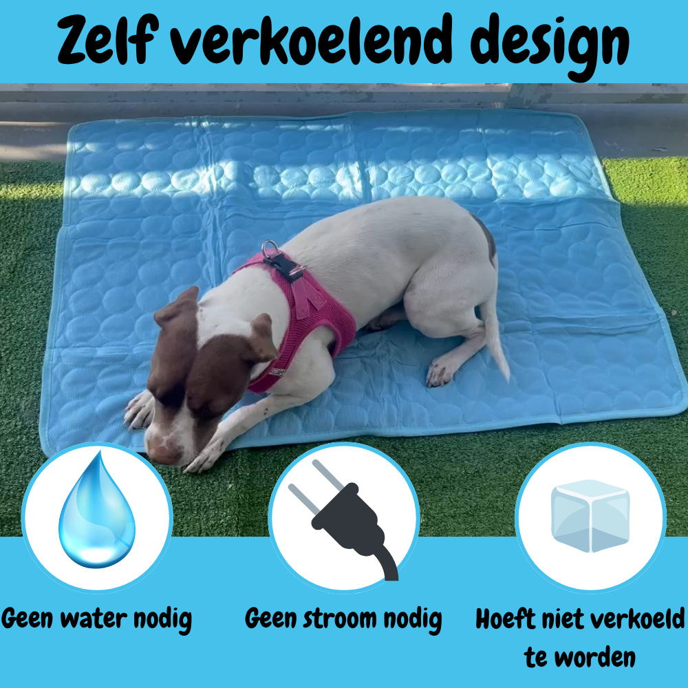 CoolCore Verkoelende Hondenmat