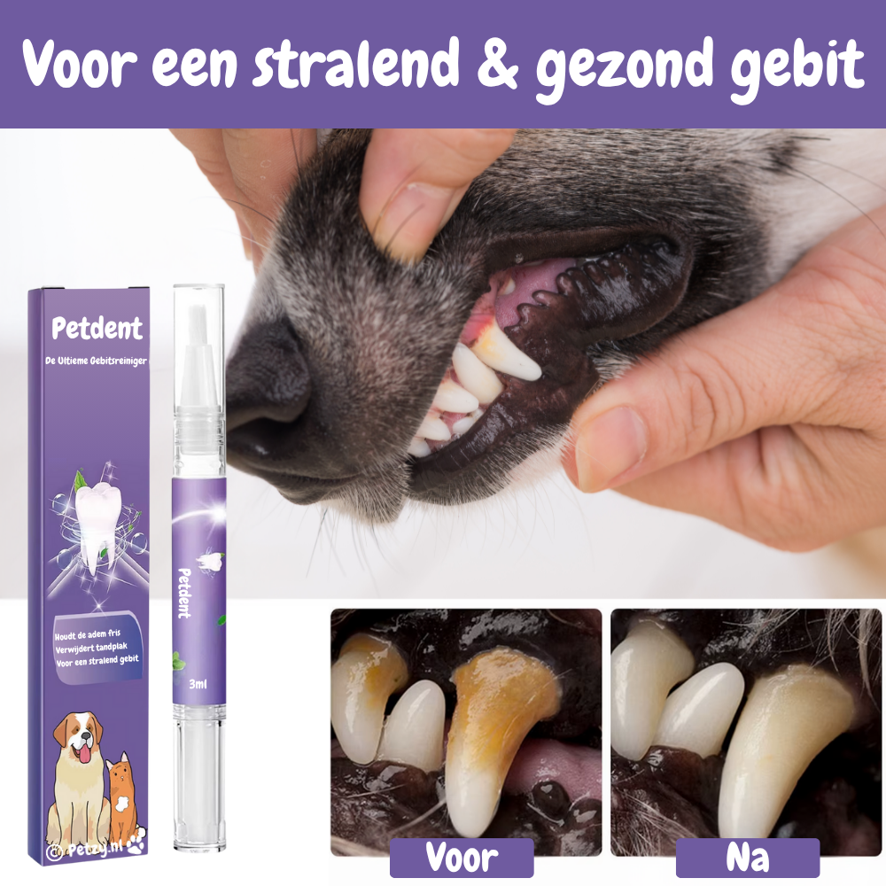 PetDent – De Krachtige Tandverzorgingspen voor een Gezond Gebit!