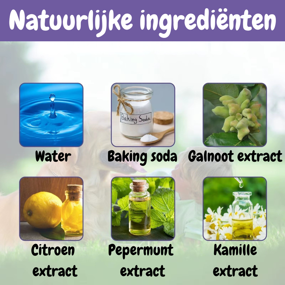 PetDent – De Krachtige Tandverzorgingspen voor een Gezond Gebit!