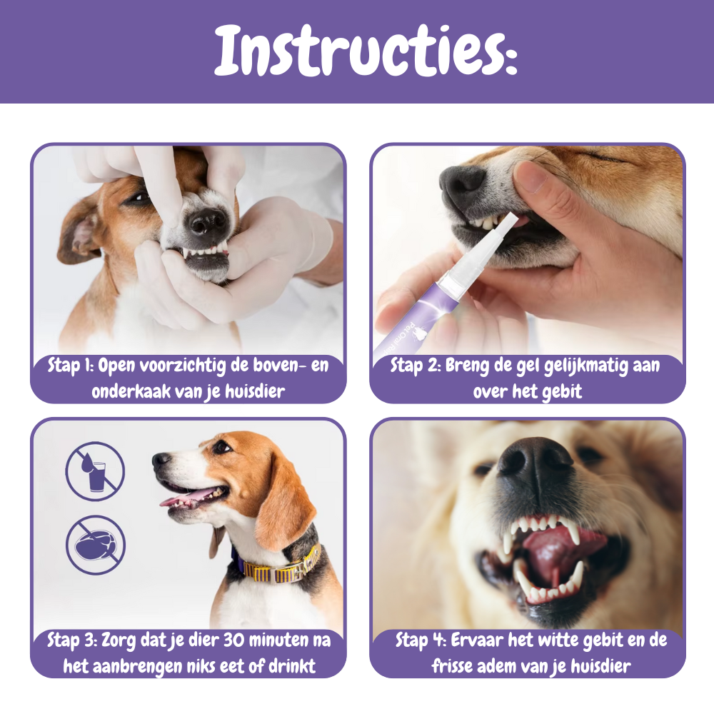 PetDent – De Krachtige Tandverzorgingspen voor een Gezond Gebit!