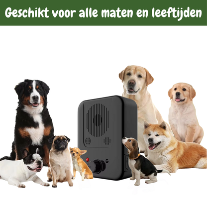 Bark Detector X - De slimme oplossing tegen blaffen