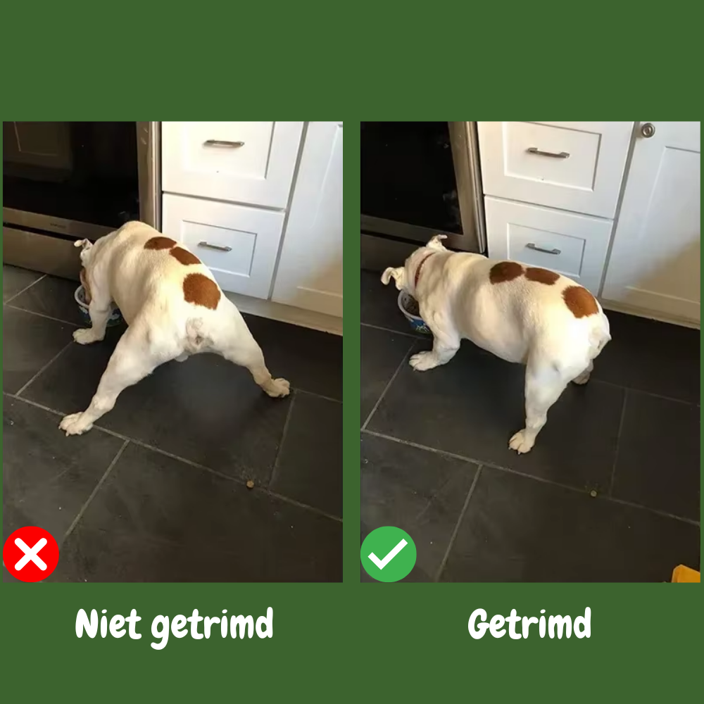 CleanPaws Hondentrimmer - Geen gladde poten meer