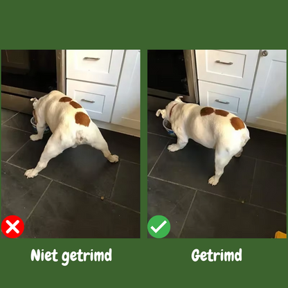 CleanPaws Hondentrimmer - Geen gladde poten meer