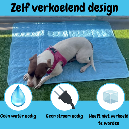CoolCore Verkoelende Hondenmat
