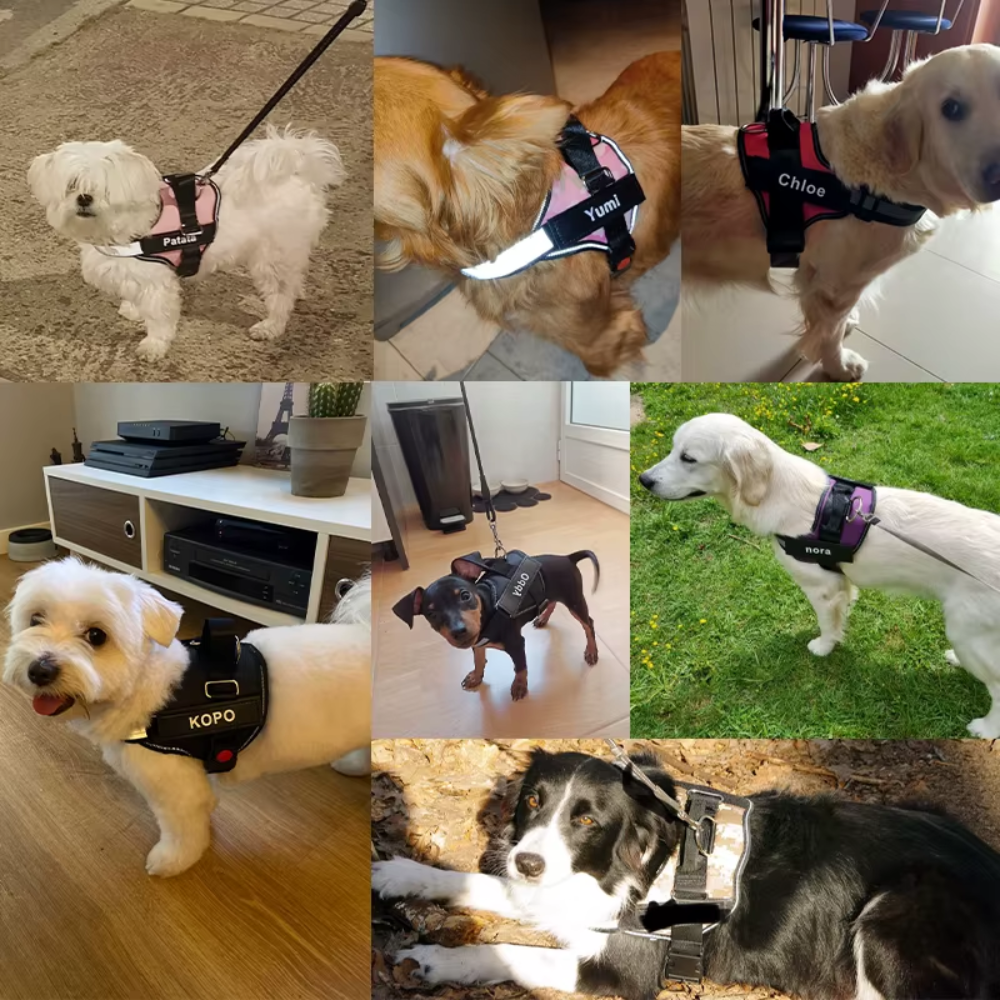 Gepersonaliseerd Anti Trektuig voor Honden