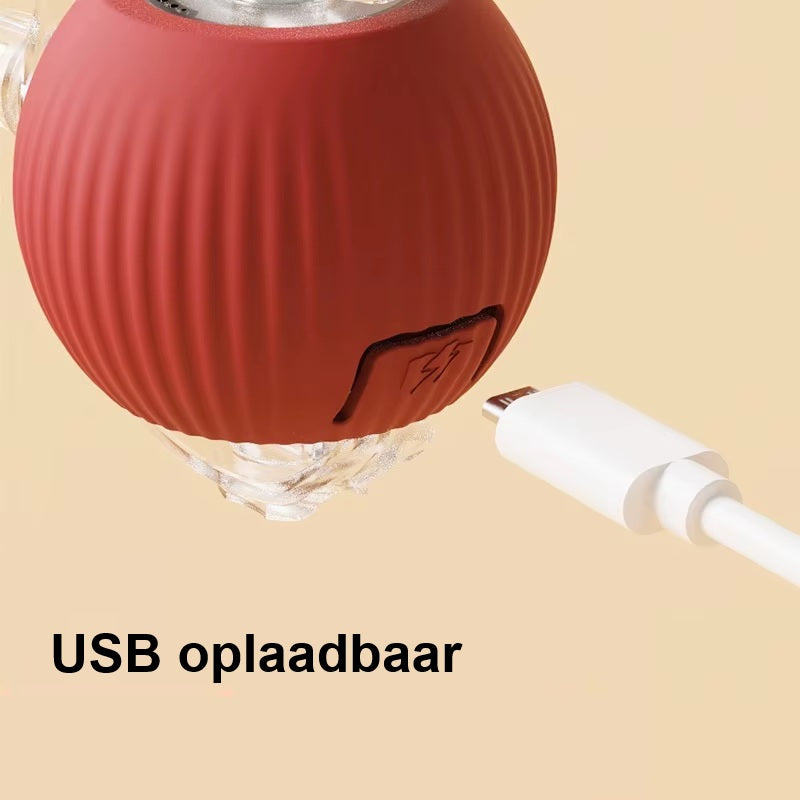 MiauwBall - Interactieve speelbal voor uren plezier