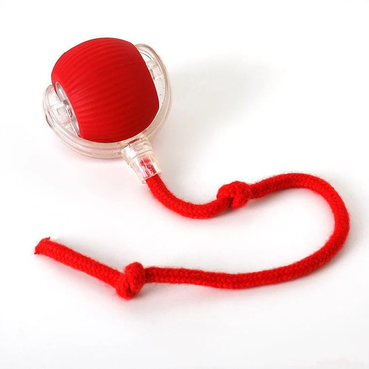 MiauwBall - Interactieve speelbal voor uren plezier
