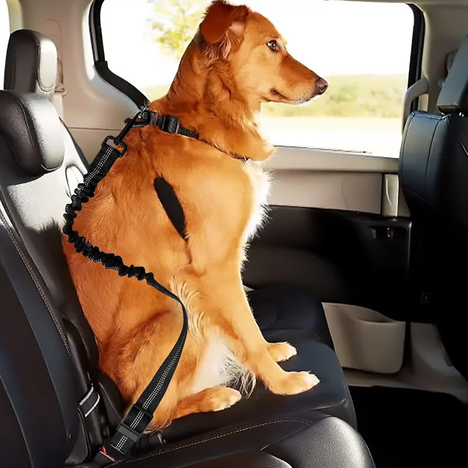 SafeDogz Autogordel voor Honden - Veilig op reis
