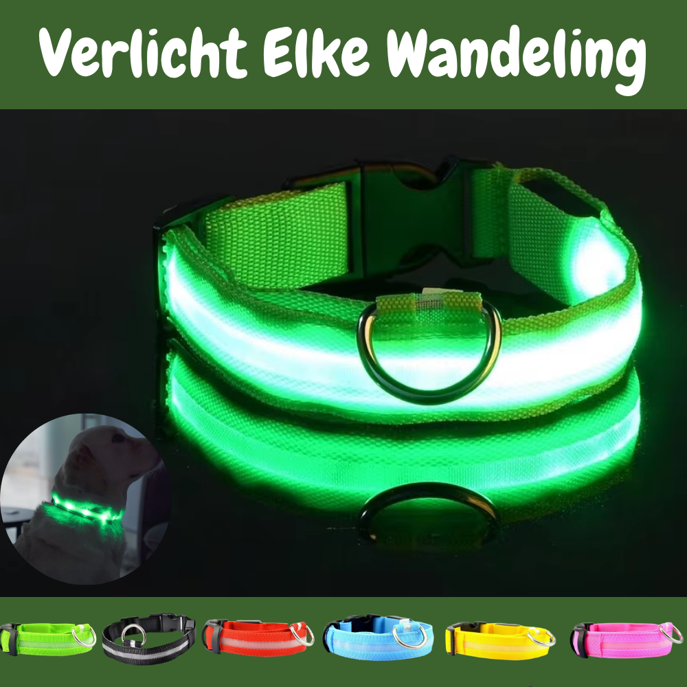 SafeGlow oplaadbare LED-halsband voor honden