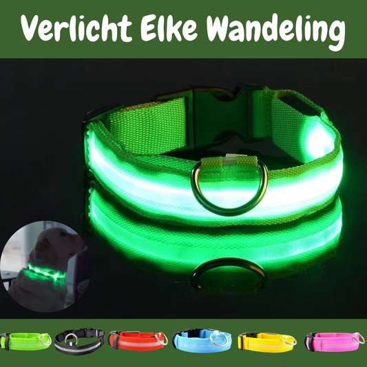 SafeGlow oplaadbare LED-halsband voor honden