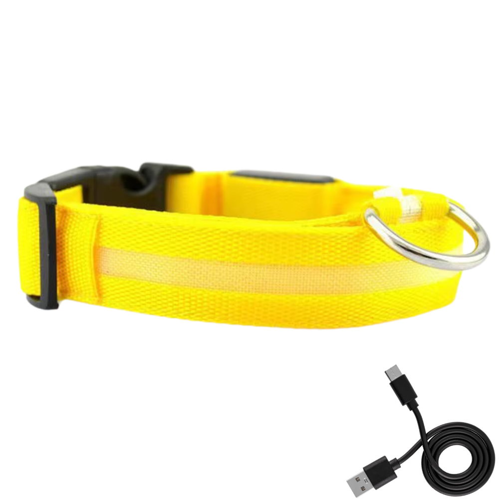 SafeGlow oplaadbare LED-halsband voor honden