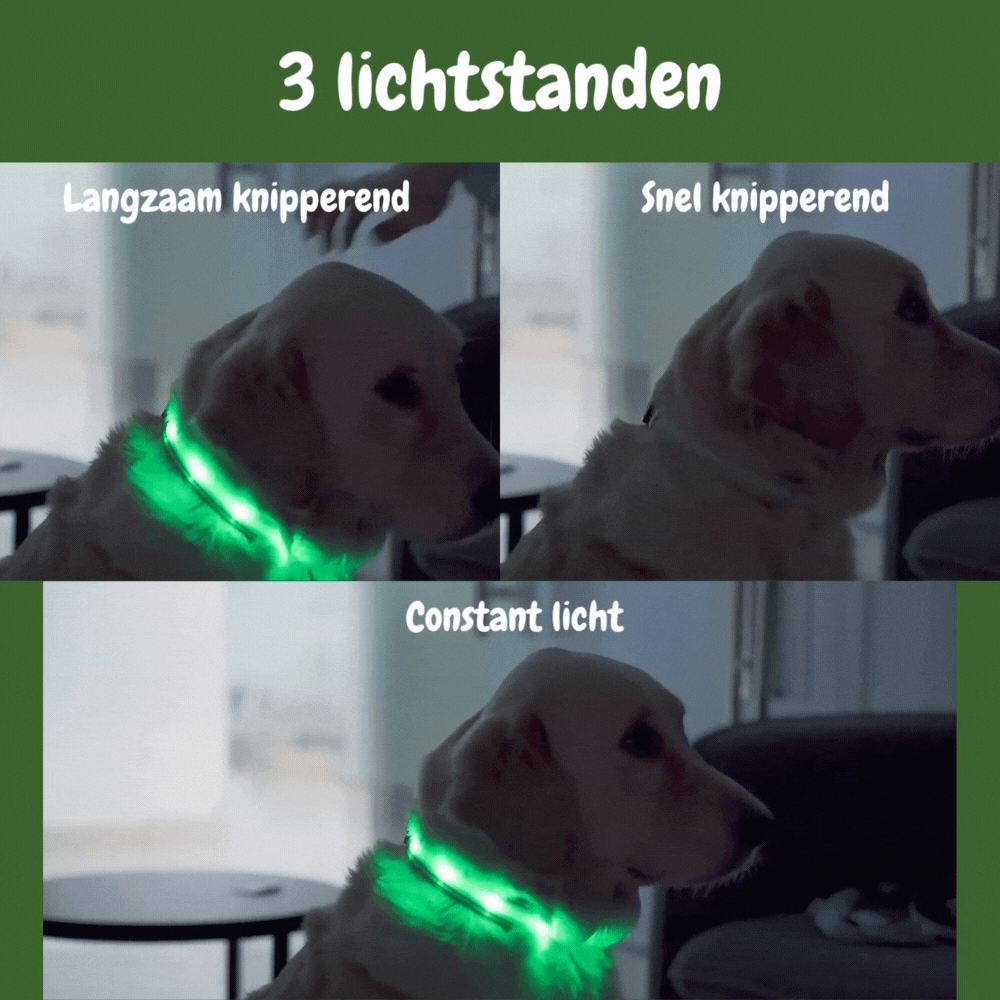 SafeGlow oplaadbare LED-halsband voor honden