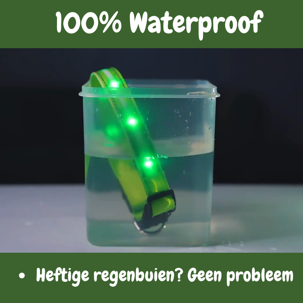 SafeGlow oplaadbare LED-halsband voor honden