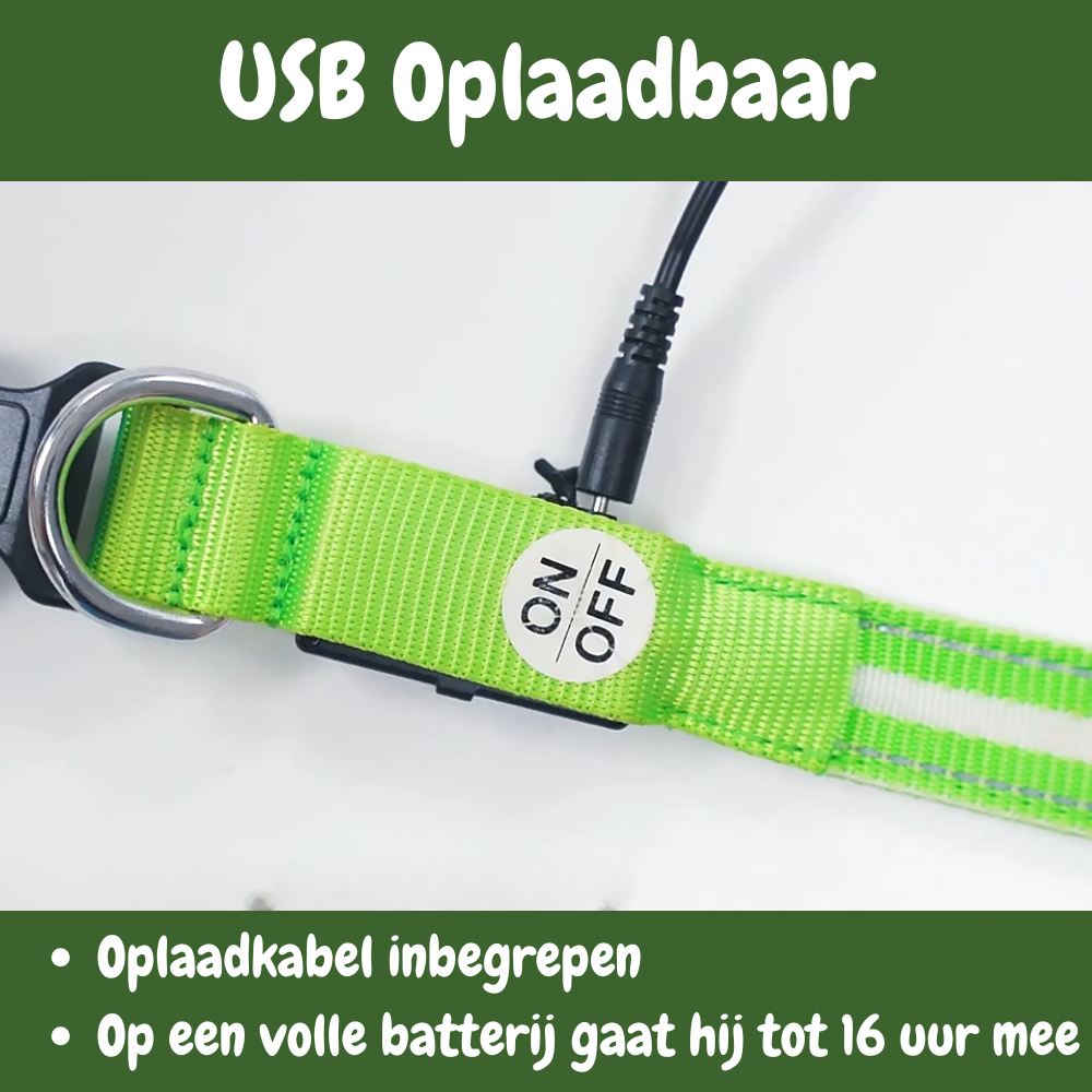 SafeGlow oplaadbare LED-halsband voor honden