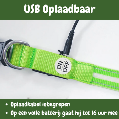 SafeGlow oplaadbare LED-halsband voor honden