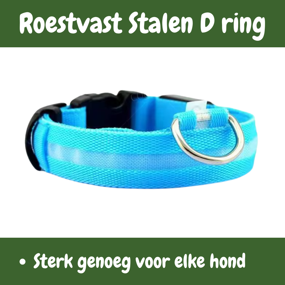 SafeGlow oplaadbare LED-halsband voor honden