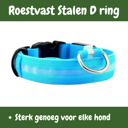 SafeGlow oplaadbare LED-halsband voor honden