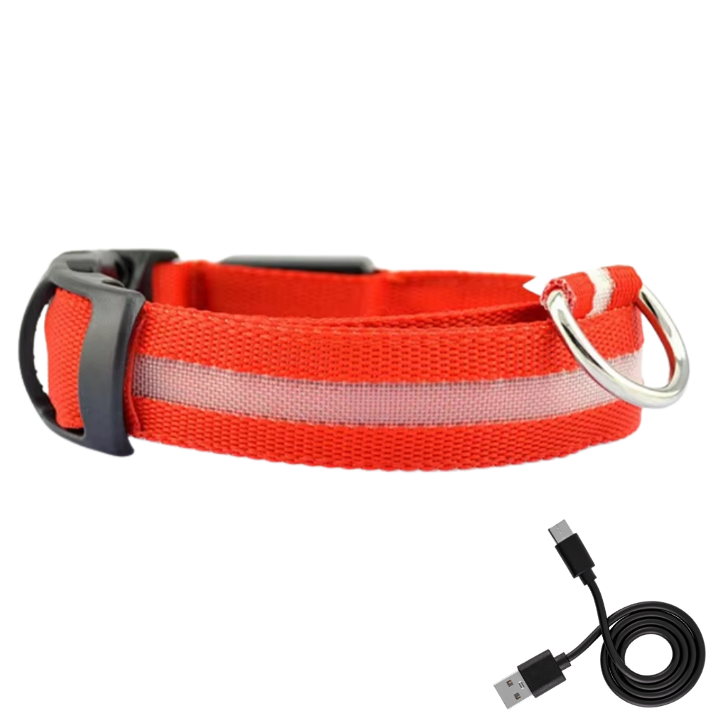 SafeGlow oplaadbare LED-halsband voor honden