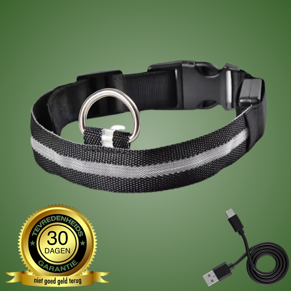 SafeGlow oplaadbare LED-halsband voor honden