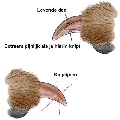 SafeNail Nageltang – Veilig Nagels Knippen zonder Bloedingen!