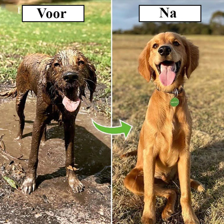 Shampoo Shower - De Ultieme Hondendouche