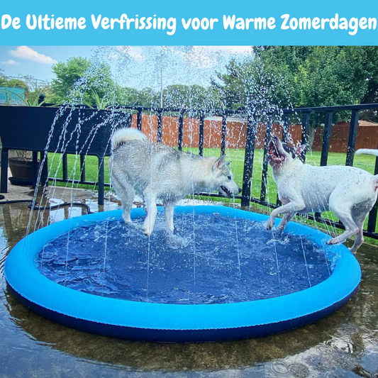 SplashJoy Hondenzwembad - Voor Uren Speelplezier