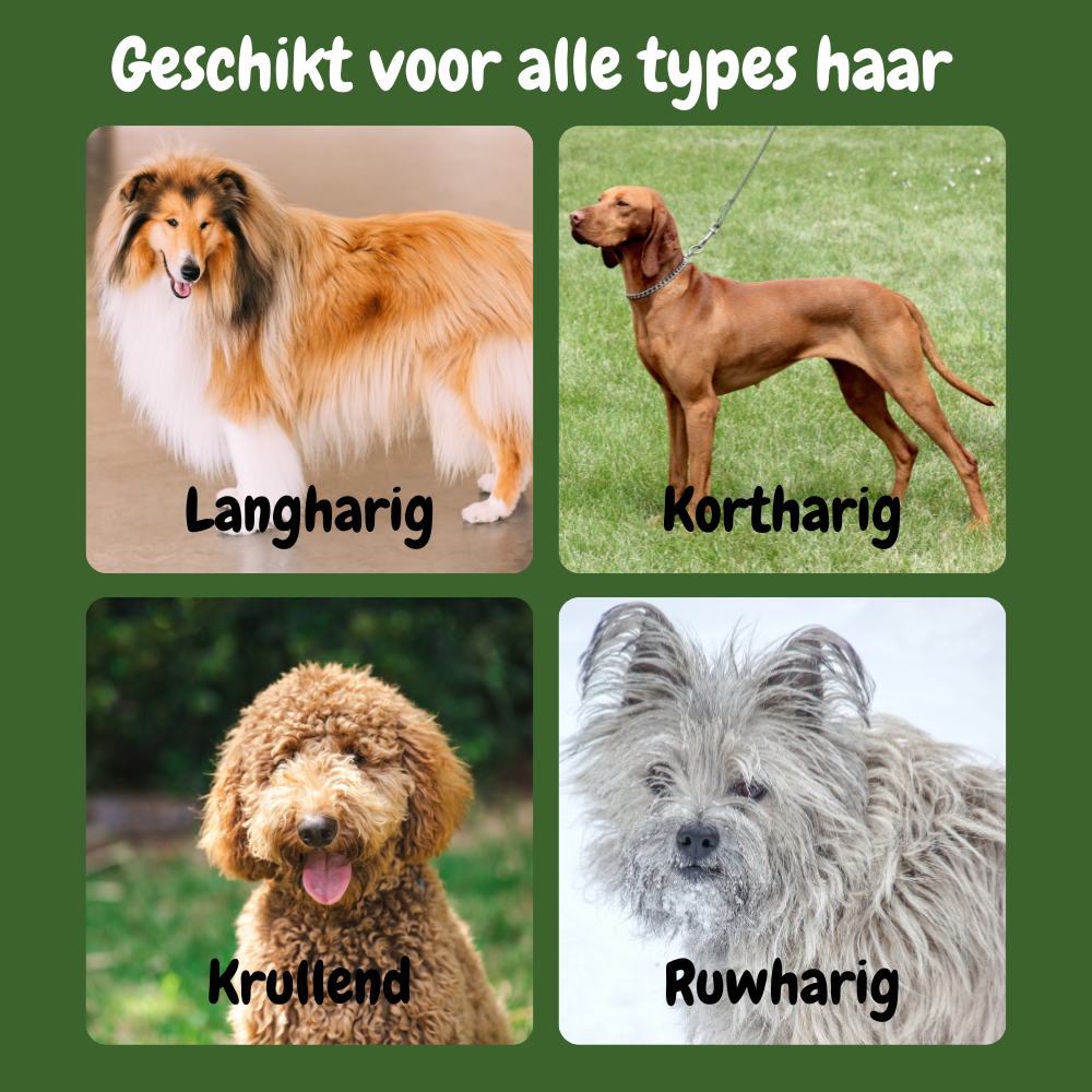 SteamTech Stoomborstel voor Honden en Katten Geschikt voor alle types haar