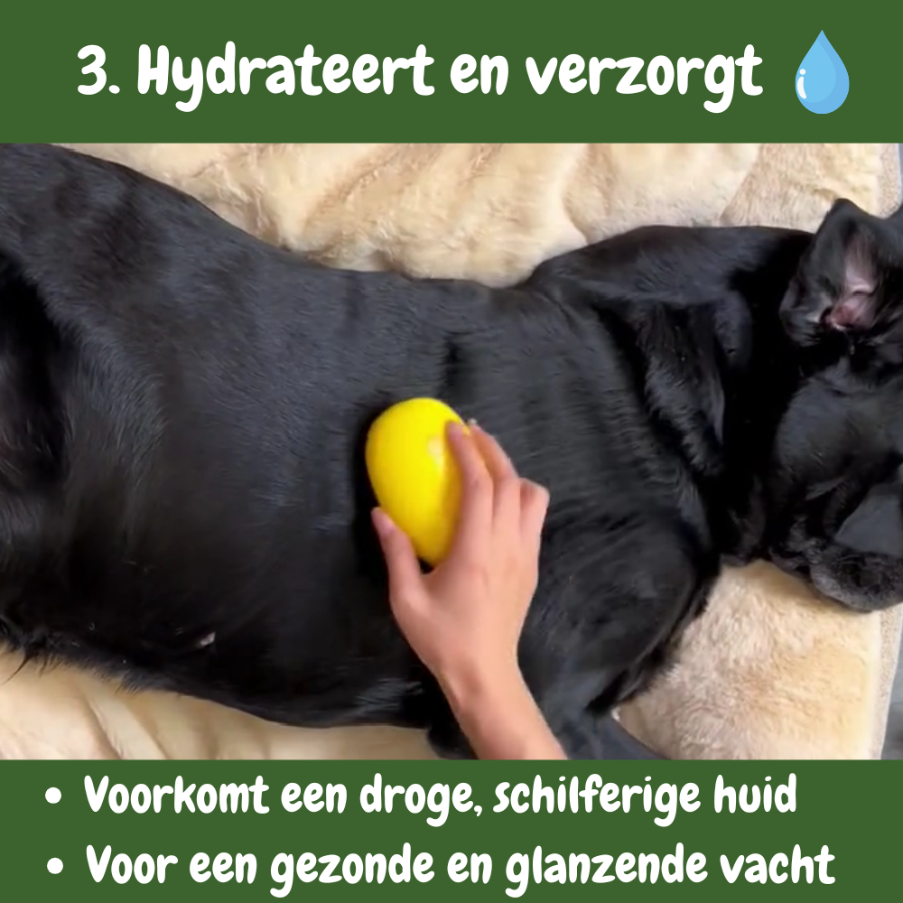 SteamTech Stoomborstel voor Honden en Katten Hydrateeert en verzorgt