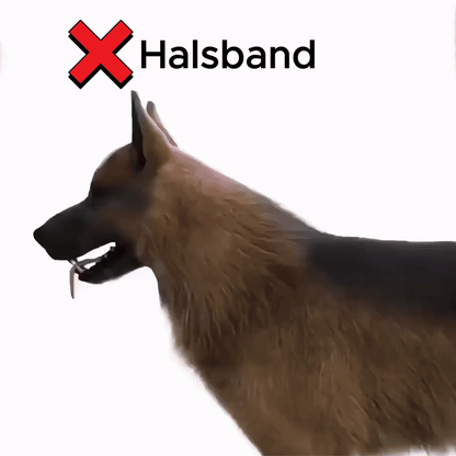 Gepersonaliseerd Anti Trektuig voor Honden
