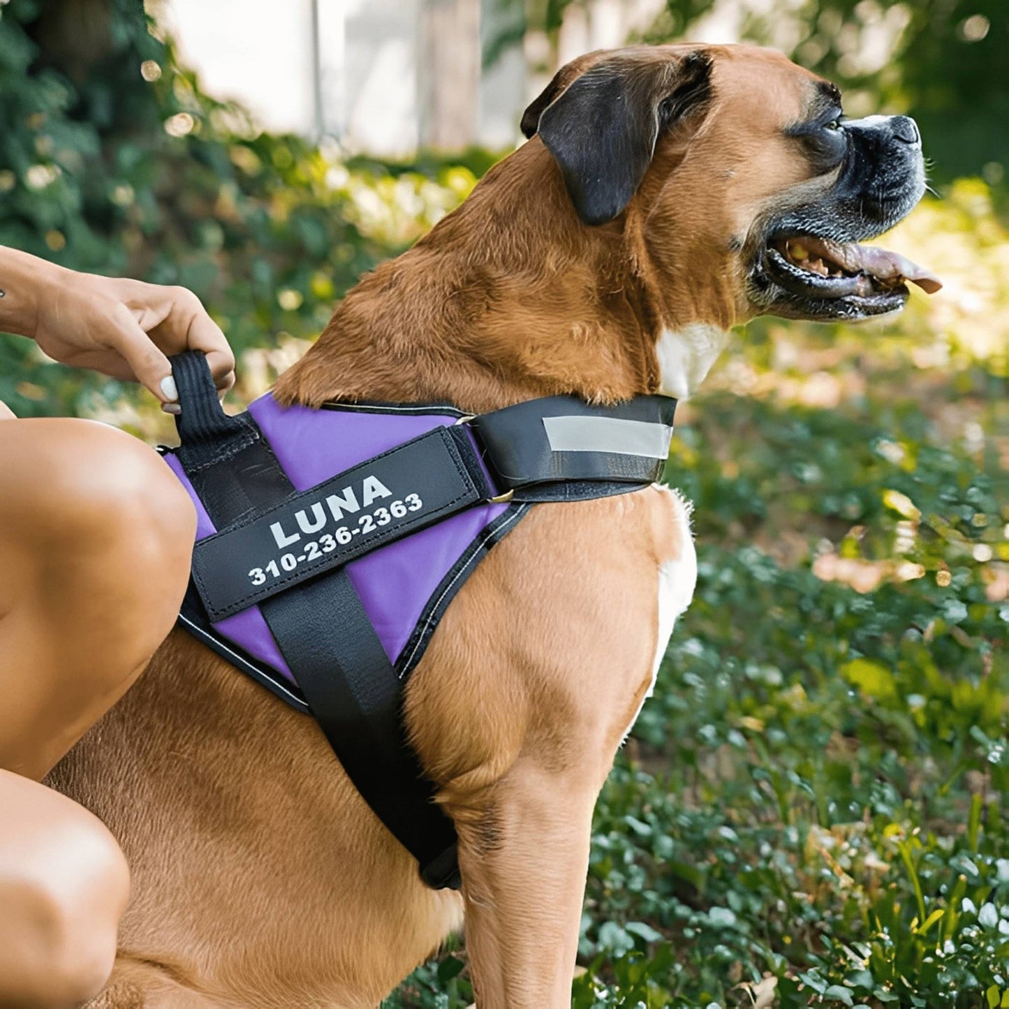 Gepersonaliseerd Anti Trektuig voor Honden