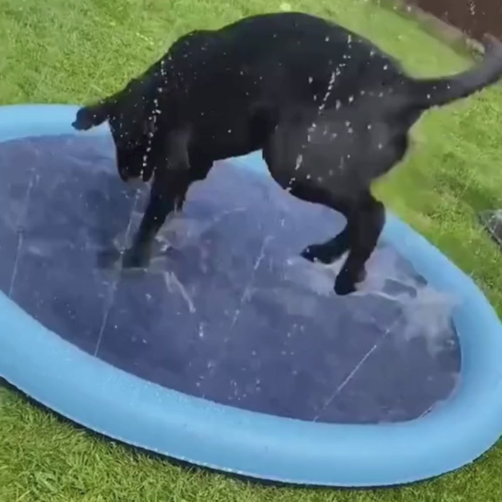 SplashJoy Hondenzwembad - Voor Uren Speelplezier10